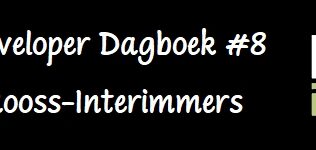 Developer Dagboek #8: Rooss-Interimmers