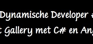 De Dynamische Developer #1 – 2D Art Gallery met C# en Angular