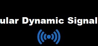 Angular Dynamic Signal Forms